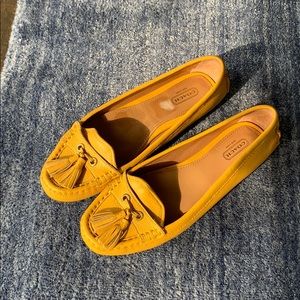 Coach leather driving moccasins, never been worn!